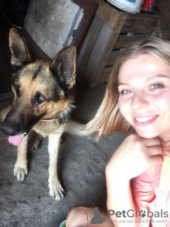 Photos supplémentaires: Vétérinaire à domicile à Kharkov