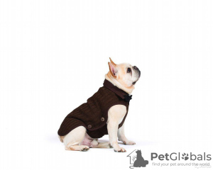 Photo №1. Nano veste en tricot (pull) Nano Knit Sweater Dog Gone Smart. en ville de Москва. Prix - 23€. Annonce № 11534