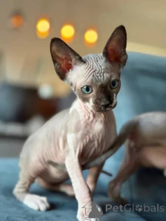 Photo №1.  - à vendre en ville de Berne | négocié | Annonce № 141247