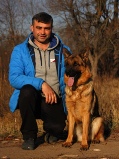 Photo №2 de l'annonce № 5140 de la vente berger allemand - acheter à Ukraine de la fourrière