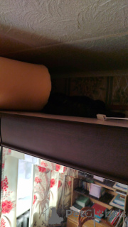 Photo №4. Je vais vendre bengal en ville de Kazan. annonce privée - prix - 10780€