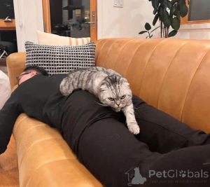 Photo №4. Je vais vendre  en ville de Augustusburg.  - prix - négocié