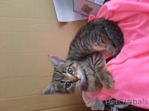 Photos supplémentaires: Veronika Lusin