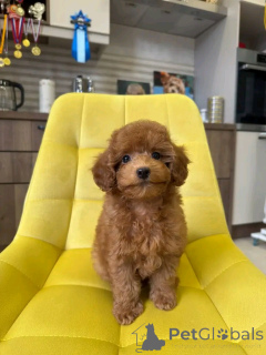 Photo №1.  - à vendre en ville de Amberg | 400€ | Annonce №159556