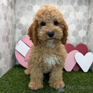 Photo №1.  - à vendre en ville de Ville de Londres | 400€ | Annonce №163936