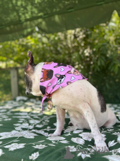 Photo №2 de l'annonce № 151726 de la vente bouledogue - acheter à La Grande-Bretagne annonce privée