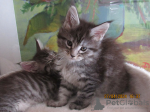 Photo №3. OLEKSANDRE MALIOUSHENKO. La Lettonie