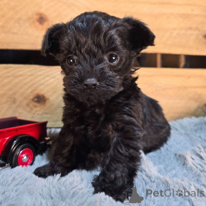 Photo №1.  - à vendre en ville de Berlin | négocié | Annonce №134937