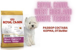 Royal Canin West Highland White Terrier: analyse de la composition de l'aliment, avis