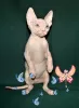 Photo №4. Je vais vendre sphynx en ville de Houston. de la fourrière, éleveur - prix - négocié