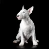 Photo №4. Je vais vendre bull terrier en ville de Ufa. de la fourrière - prix - 924€