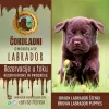 Photo №1. labrador retriever - à vendre en ville de Trstenik | négocié | Annonce №78046