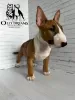 Photo №4. Je vais vendre bull terrier en ville de Berlin. éleveur - prix - 2300€