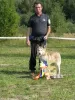 Photo №3. Chiots Husky sibérien. Fédération de Russie