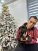 Photo №3. Chiots Presa Canario. Serbie