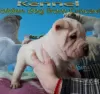 Photo №1. shar pei - à vendre en ville de Москва | négocié | Annonce №18105