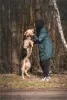 Photos supplémentaires: Le merveilleux chien Denver est entre de bonnes mains.