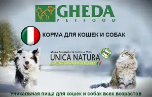 Photo №1. Nourriture pour chiens "GHEDA Proper Form Professional Breeders" en ville de Saint-Pétersbourg. Prix - Négocié. Annonce № 4238