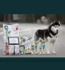 Photos supplémentaires: chiots husky sibérien