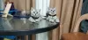 Photo №1. british shorthair - à vendre en ville de Guildford | 284€ | Annonce № 71151