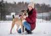 Photo №3. Bim, un jeune chien joyeux, cherche un foyer.. Fédération de Russie