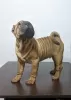 Photos supplémentaires: Chiot Shar Pei brutal