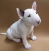 Photo №1. bull terrier - à vendre en ville de Berlin | négocié | Annonce №97851