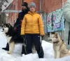 Photo №4. Je vais vendre husky de sibérie en ville de Иваново. annonce privée - prix - négocié