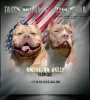 Photo №2 de l'annonce № 68954 de la vente american bully - acheter à Fédération de Russie annonce privée, de la fourrière, éleveur