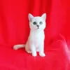 Photo №1. british shorthair - à vendre en ville de Nikolaev | 21€ | Annonce № 8328