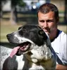 Photos supplémentaires: Chiots de berger d'Asie centrale