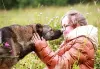 Photo №2 de l'annonce № 8645 de la vente chien bâtard - acheter à Fédération de Russie annonce privée