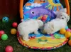 Photo №1. bichon maltais - à vendre en ville de Siófok | négocié | Annonce №58245