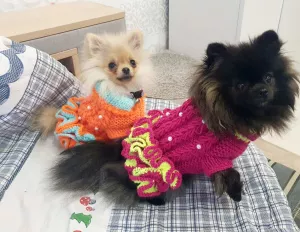 Photo №1. ROBE EN MAILLE (VÊTEMENTS) POUR CHIEN ET CHAT en ville de Minsk. Prix - 9€. Annonce № 6791