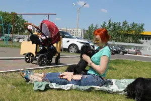 Photo №1. affenpinscher - à vendre en ville de Krasnoyarsk | 1000€ | Annonce №2467