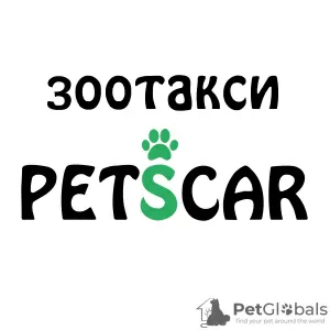 Photo №1. Services de livraison et de transportation des chats et des chiens en ville de Москва. Annonce № 36932