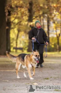 Photos supplémentaires: Gerda est la personnification du confort, du grand amour et de la fidélité !