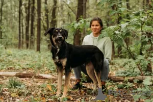 Photo №2 de l'annonce № 72620 de la vente chien bâtard - acheter à Fédération de Russie annonce privée