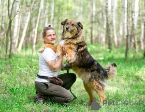 Photos supplémentaires: Laska est une fille affectueuse, gentille et douce ! Je cherche une famille