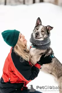 Photos supplémentaires: Jazz, charmant et séduisant, recherche une famille qu'il aimera à l'infini !