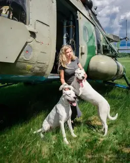 Photo №2 de l'annonce № 4252 de la vente dogue argentin - acheter à Fédération de Russie annonce privée