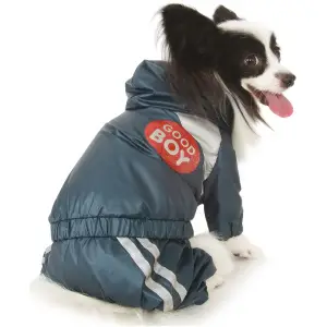 Photo №1. Manteau de pluie "Good Boy" en ville de Moscou. Prix - 32€. Annonce № 947