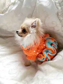 Photo №3. ROBE EN MAILLE (VÊTEMENTS) POUR CHIEN ET CHAT en Biélorussie